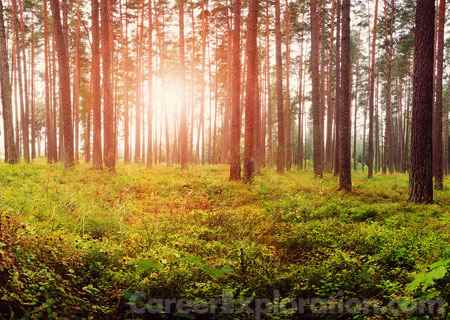 Natural Resources and Conservation
