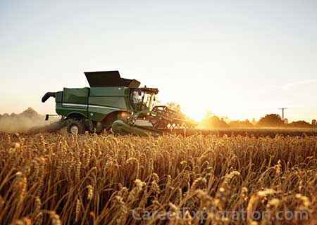 Agriculture