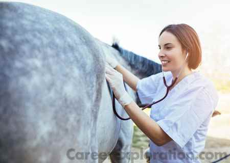 Large Animal/Food Animal and Equine Surgery and Medicine Major
