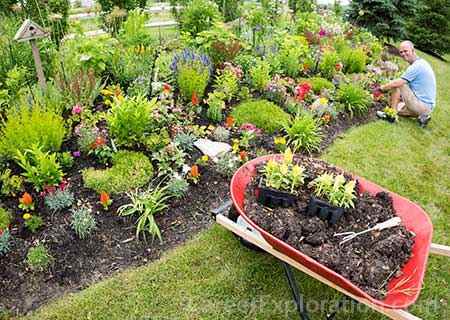 Landscaping and Groundskeeping
